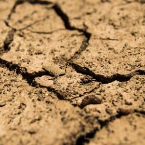 Cracked and dry soil.