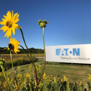 Eaton sign and sunflower