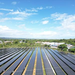 field of solar panels 