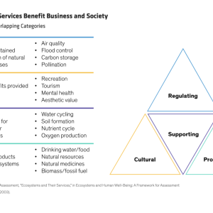 How Ecosystem Services Benefit Business and Society infographic 