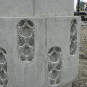 Living Seawalls Panel at DP World's Posorja terminal in Ecuador