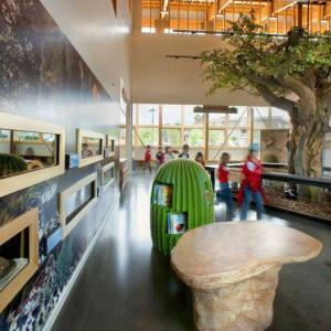 Interior photo of the Environmental Nature Center