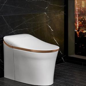 The Eir Intelligent toilet