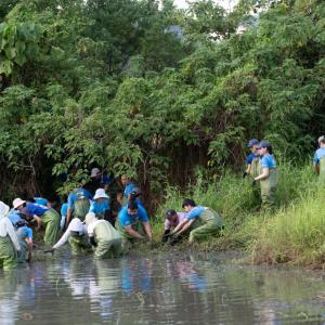 Elanco employees working in pond