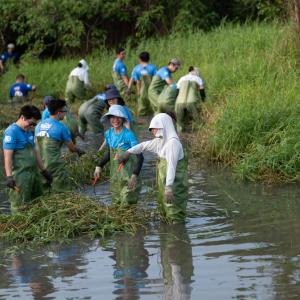 Elanco employees working in pond