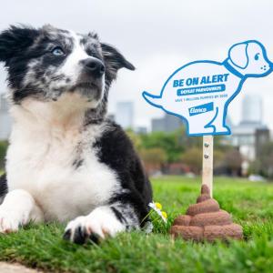 puppy with "be on alert" sign 