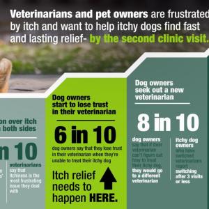 elanco Itchy dog report infographic 