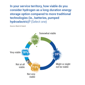 Chart showing in a service territory, how viable is hydrogen considered as a long duration energy storage option.