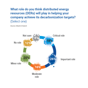 Chart showing what role do you think distributed energy resources will play in helping a company achieve its decarbonization targets.