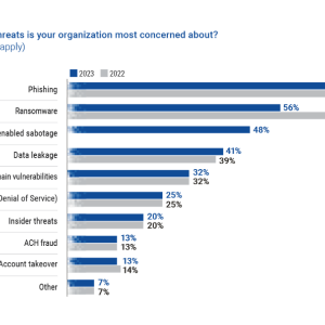 Chart showing which cyber threats is your organization most concerned about?