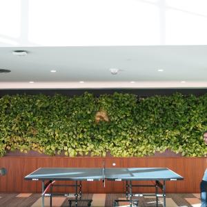Two GoDaddy employees enjoying a game of ping pong.