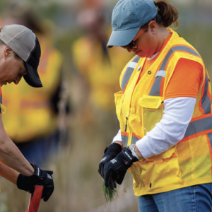 Employees wearing hi-vis jackets while planting trees