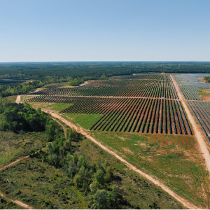 Longroad Energy’s solar farm in Polk County, Texas