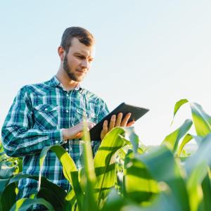 A person stood in a crop field using a tablet device 