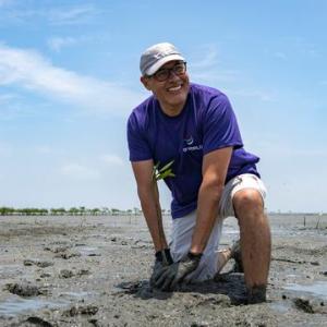 Person planting on sandy shore