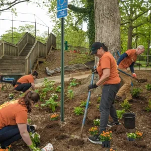 A group of volunteers planting flowers