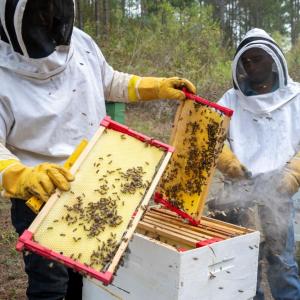 Two beekeepers in Trojes, Honduras work with Action Against Hunger on sustainable initiatives. 