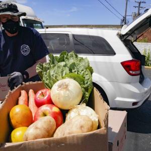 person with a box of fresh produce