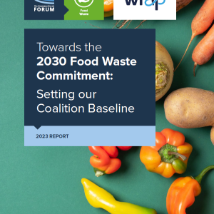 Baseline Report Cover