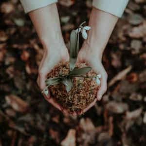Hands holding soil