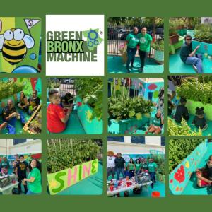 Collage of Quest Diagnostics employees volunteering for a day of service at Green Bronx Machine in New York