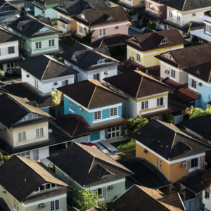 Faina R article image