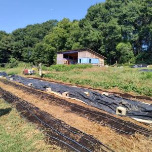 Community Farming - Athens Land Trust