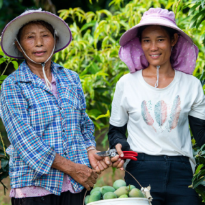 two farmers standing in a group of tall greenery, holding a basket of produce