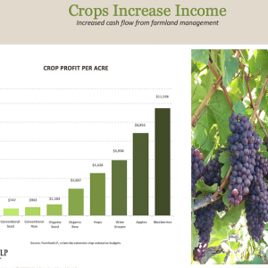 Graph: crops increase income