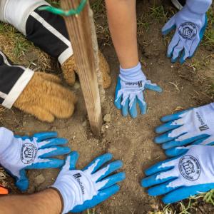 volunteers planting a stake in the ground