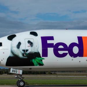 The ‘Panda Express’ Boeing 777-Freighter prepares to transport pandas to their new home
