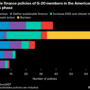 Sustainable finance policies of G-20 members in the Americas, by framework phase graphic