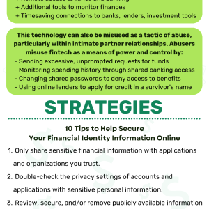 Infographic showing 10 crucial tips to help survivors safeguard their financial information online.