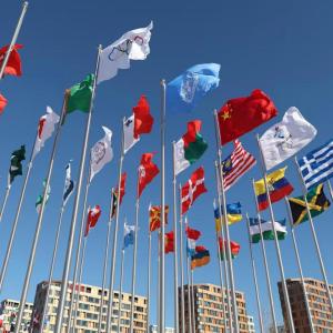 Many different national flags on high poles.