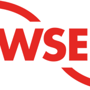 Flowserve logo