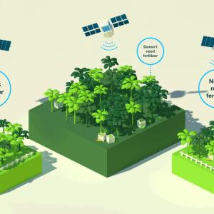 three fields with satellites above them