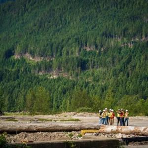 a group of workers in the distance, all wearing high-vis vests and hard hats. A vast forested area behind them.