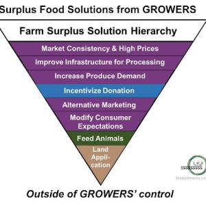Info graphic "Surplus Food Solutions from Growers" An inverted pyramid  "Farm Surplus Solution Hierarchy"