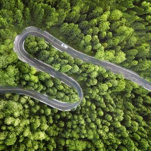 A winding road through a dense forest. A single car driving on it.