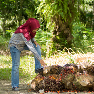Person examining nature in forest