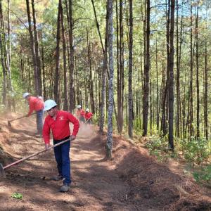 Local project members clean the forest floor in Mexico to create a fire brigade for forest protection. Cool Effect’s Seeing the Forest for the Trees project encourages community residents to preserve and restore damaged areas of the forest.
