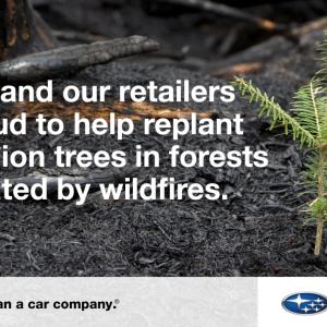 Banner image with tree sapling reading, "Subaru and our retailers are proud to help replant one million trees in forests devastated by wildfires."