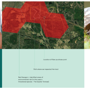 ForSite in Use IP recognized that our industry needed to improve our practices in order to assure consumers and customers that active forest management is sustainable. The implementation of ForSite™ has changed IP’s procurement strategy. We now screen every non-certified tract through ForSite™ prior to purchase to determine whether additional due diligence is required before we accept timber from that tract. Our staff has access to this data both in the office and in the field. Outcome: Gopher Tortoise.