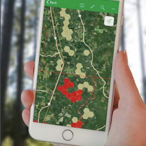 A person holding a phone with aerial gps map, red and yellow portions marked off.