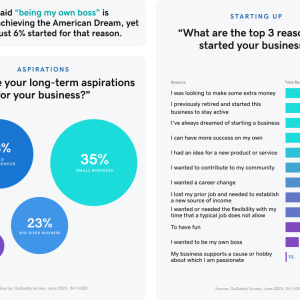 Long term aspirations infographic