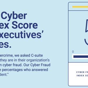 Our 2024 Cyber Fraud Index Score reflects executives insecurities.