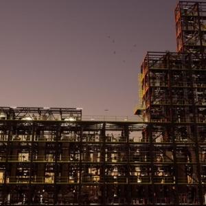 Digital rendering of a large plant.