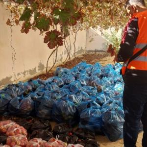 In Gaza, Action Against Hunger is ensuring that pregnant and breastfeeding women have enough to eat. 