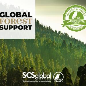 Global Forest Support poster