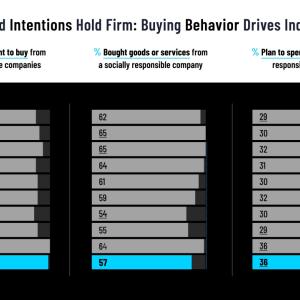 Importance and Intentions Hold Firm" bar graph